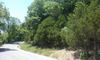 Cahill Rd photo